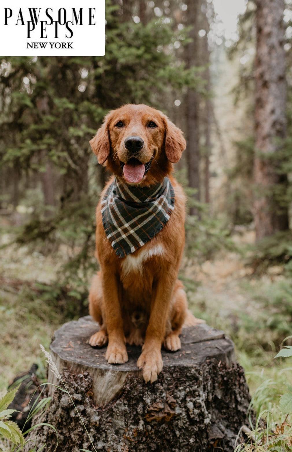 BANDANA - MONROE