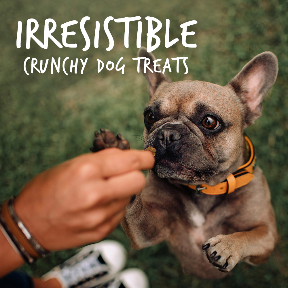 Fruitables Pumpkin & Banana Mix Dog Treats (8x7 Oz)