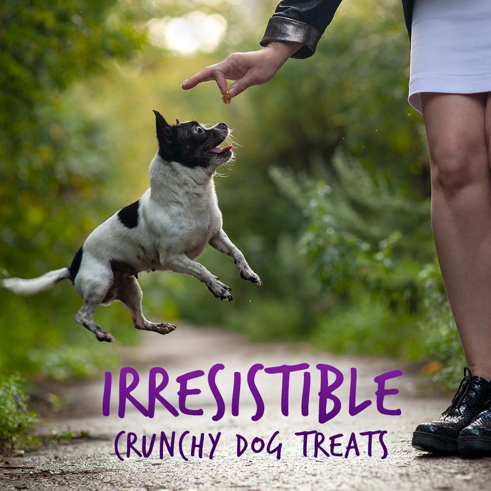 Fruitables Pumpkin & Blueberry Mix Dog Treats (8x7 Oz)