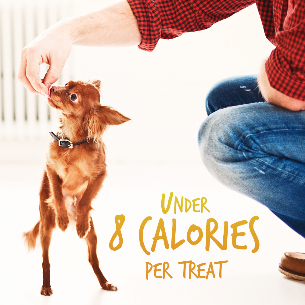 Fruitables Pumpkin & Banana Mix Dog Treats (8x7 Oz)