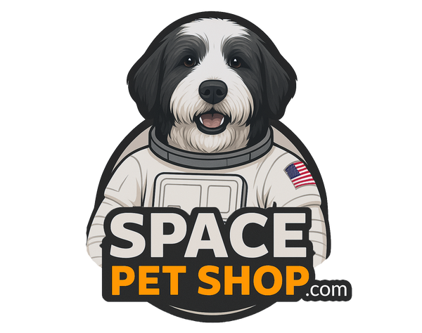 My Store