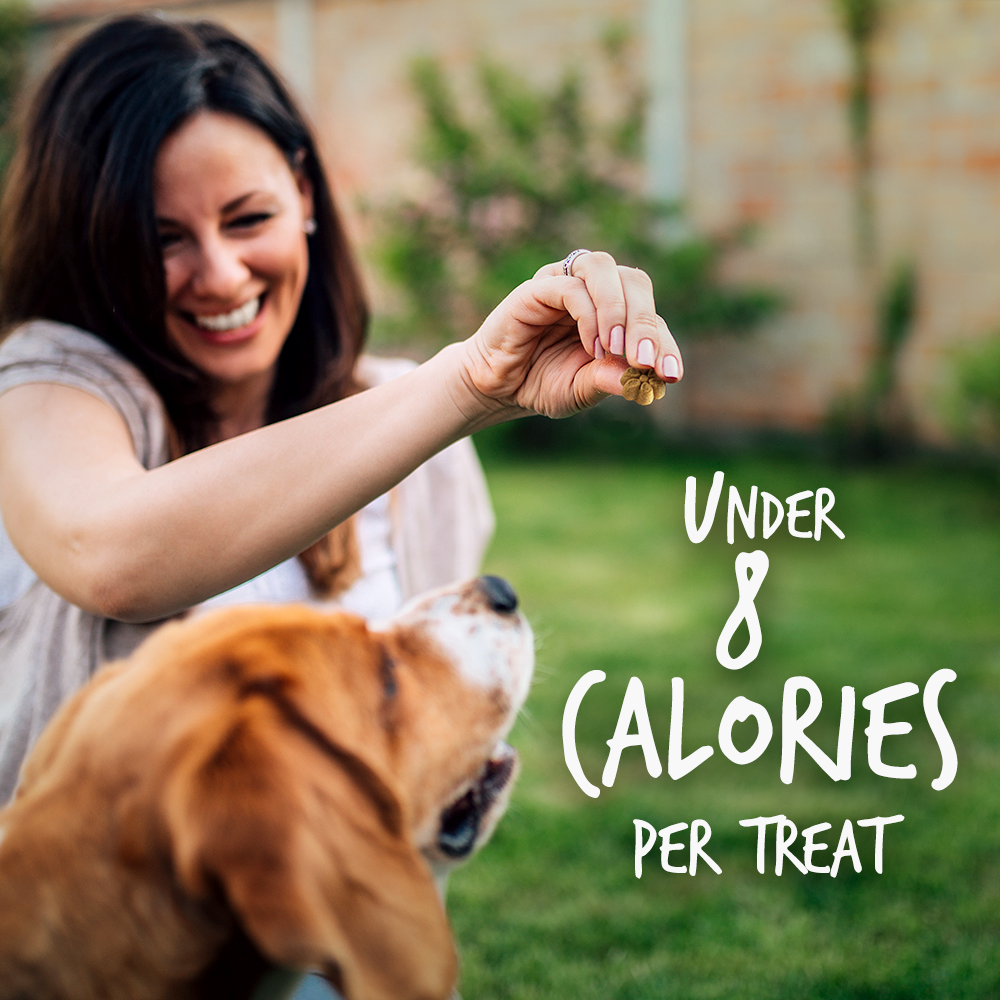 Fruitables Pumpkin & Cranberry Mix Dog Treats (8x7 Oz)