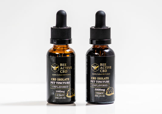 Bee Active CBD Unflavored Pet Tincture